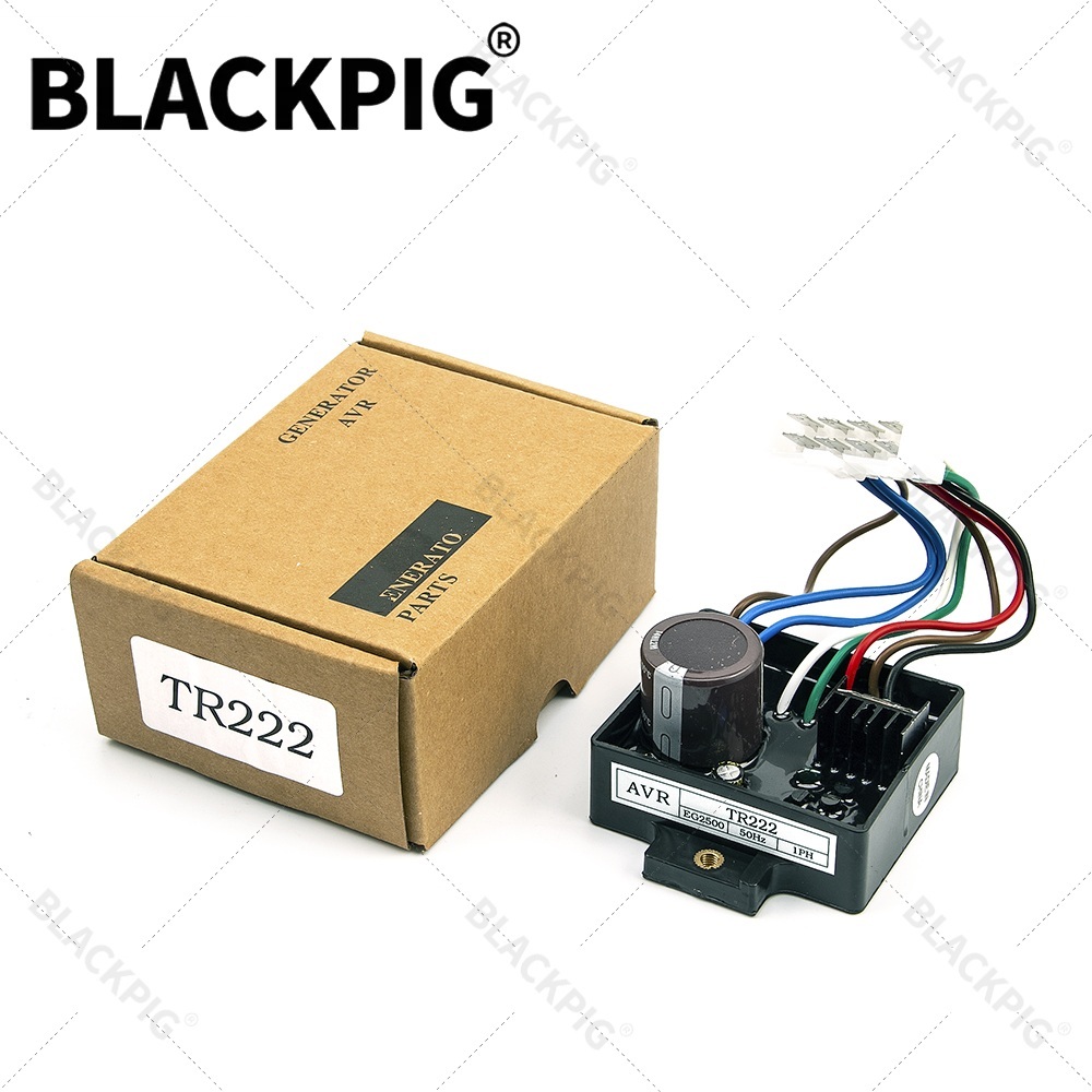 Cycloidal Reducer Bldc Motor - TR222 EG2500 AVR Automatische Spanningsregelaar Stabilisator
