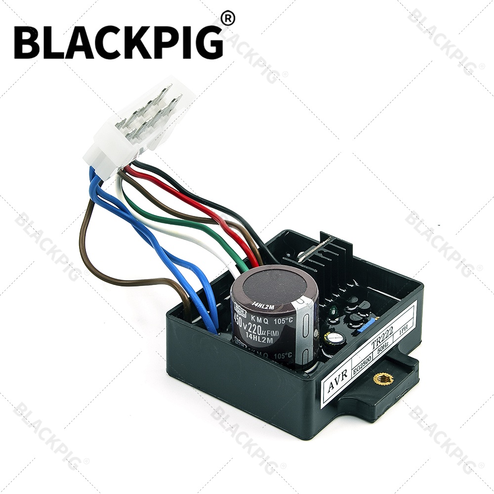 TR222 EG2500 AVR Automatische  - Cycloidal Reducer Bldc Motor recensie en prijs